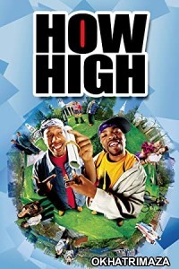 How High (2001) Hollywood Hindi Dubbed Movie