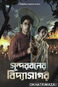 Sundarbaner Vidyasagar (2022) Season 1 Hindi Web Series